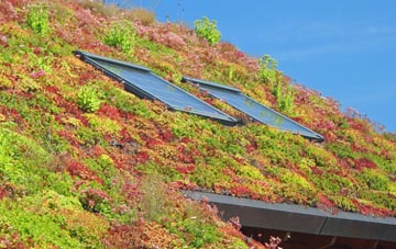 Welburn living roof systems